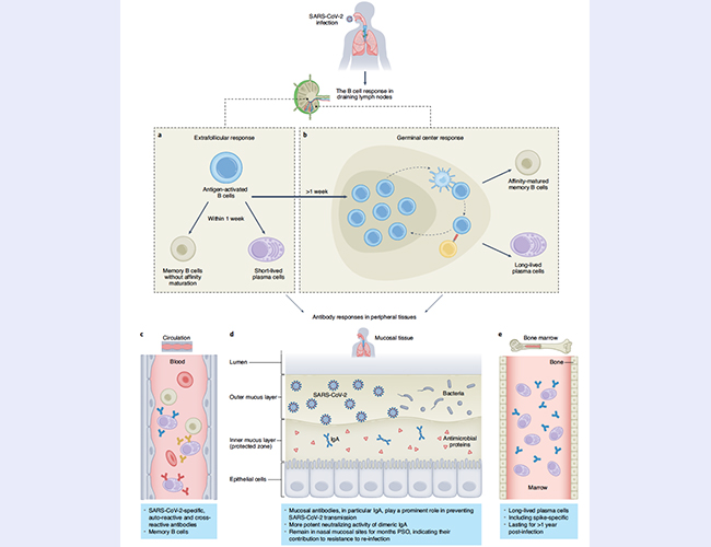 空白背景1new .jpg