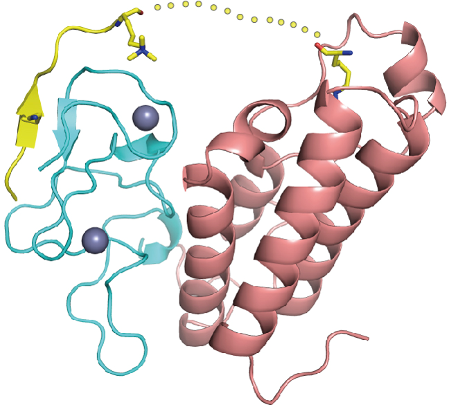 20220603-论文-郗乔然-成果图3png 20220603-论文-郗乔然-成果图3png