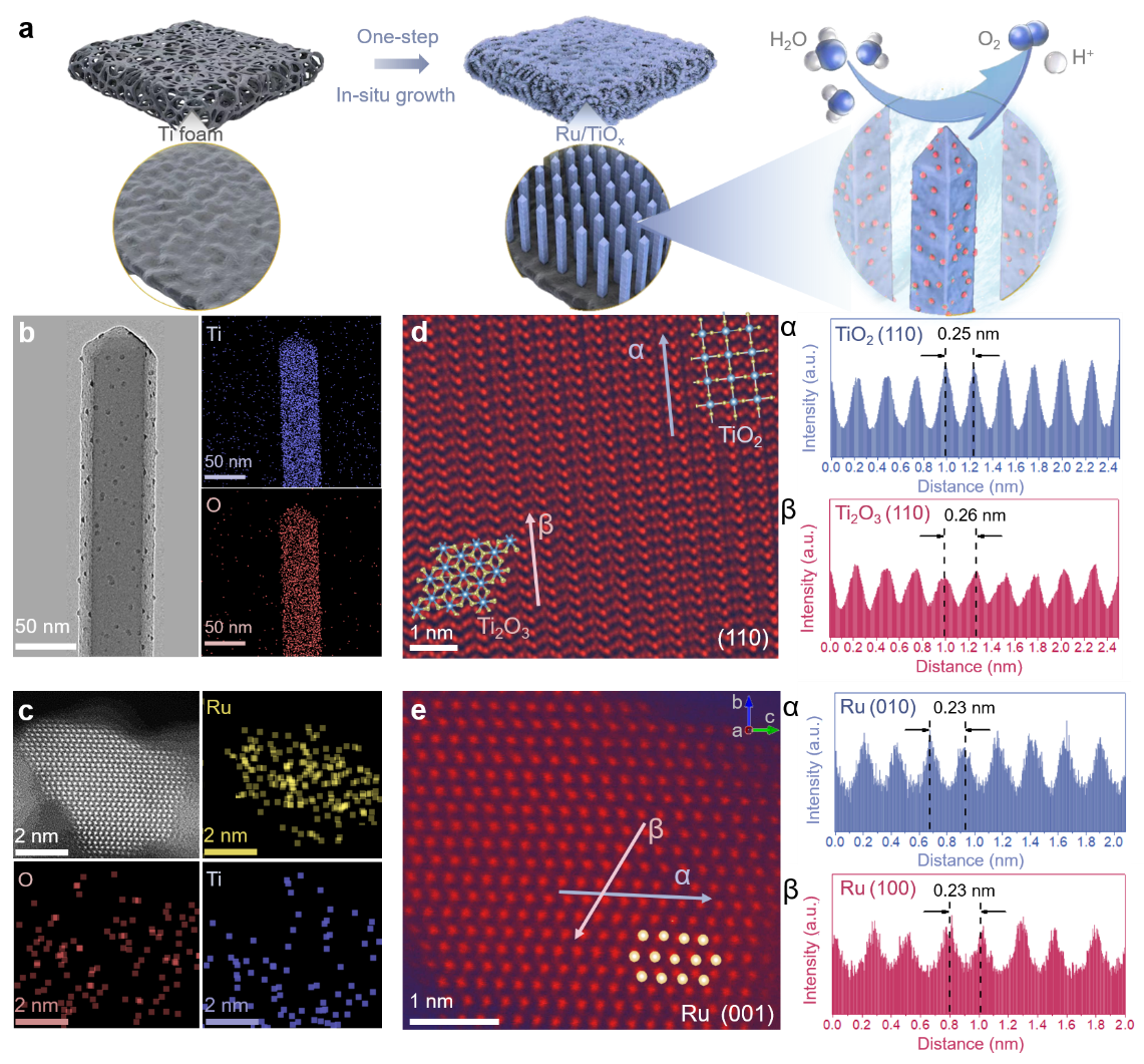 20231201-RuTiOx自支撑电极的合成和结构表征-材料学院-图1.png