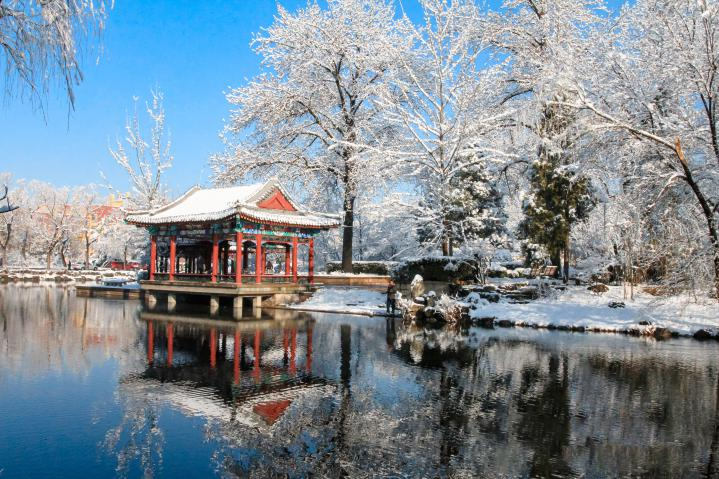 20250423-114 周年校庆|kaiyun开云官方网站离退休教职工书画作品展和摄影作品展开幕-段鸿杰-作品名称:《校园雪韵》作者:费润升.png