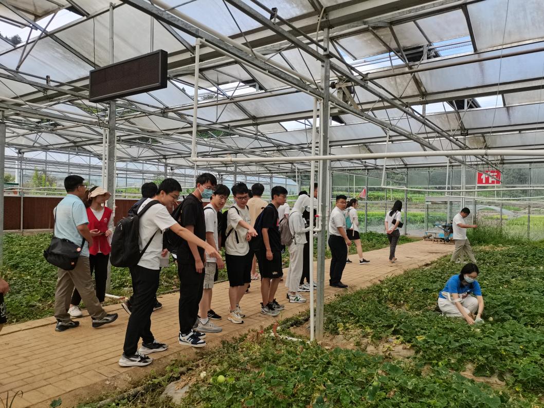 20220808-0814-kaiyun开云官方网站“林枫计划”师生赴江西赣县区调研实践-马小涵摄-支队师生参观五云镇夏潭村蔬菜研学基地.jpg