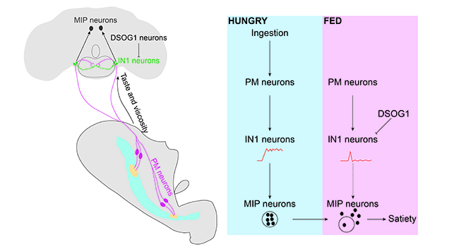 20211110-论文-张伟-成果照片1.jpg 20211110-论文-张伟-成果照片1.jpg