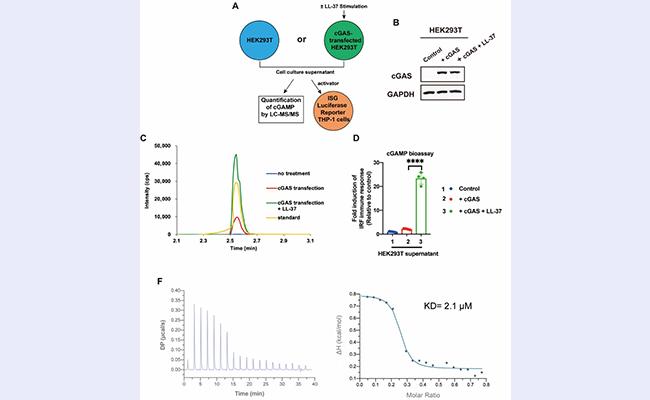 微信图片_20220601121326 - 副本 - 副本.jpg