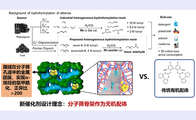 空白背景new - 副本.jpg