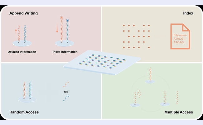 空白背景new1 - 副本.jpg