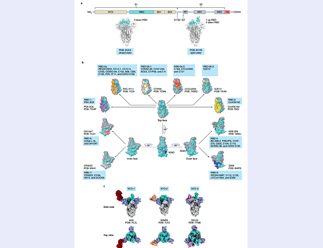 空白背景new - 副本.jpg