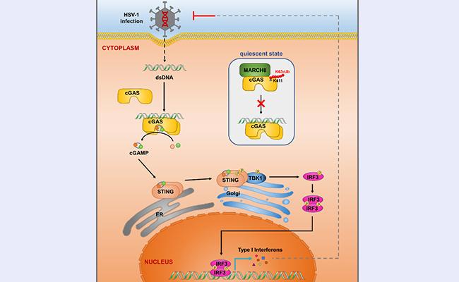 空白背景1new - 副本.jpg
