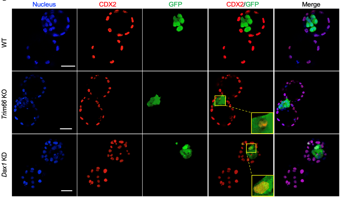 20220603-论文-郗乔然-成果图2png 20220603-论文-郗乔然-成果图2png