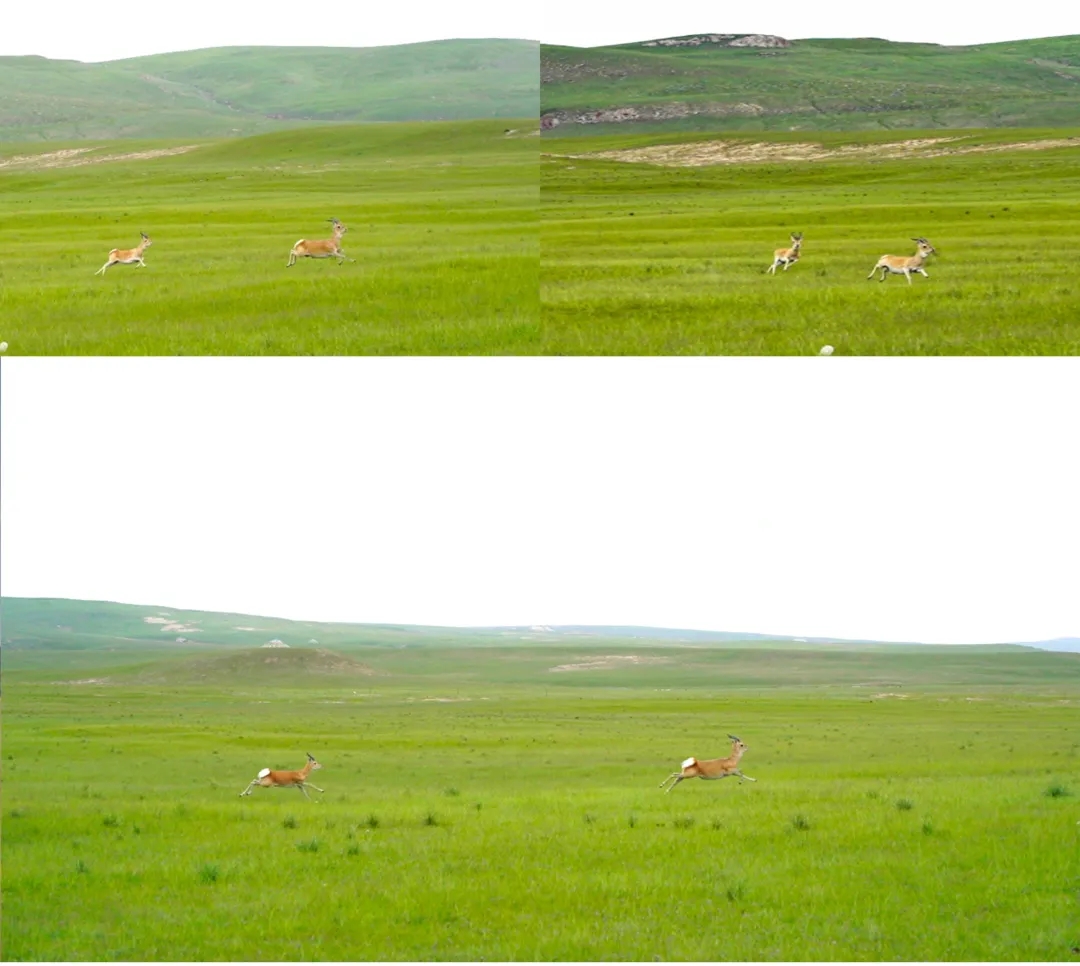 ../Library/Containers/com.tencent.xinWeChat/Data/Library/Application%20Support/com.tencent.xinWeChat/2.0b4.0.9/dc3ba561147dbcf5b10fbbf860b08471/Message/MessageTemp/dc3ba561147dbcf5b10fbbf860b08471/Image/7271599210093_.pic_hd.jpg ../Library/Containers/com.tencent.xinWeChat/Data/Library/Application%20Support/com.tencent.xinWeChat/2.0b4.0.9/dc3ba561147dbcf5b10fbbf860b08471/Message/MessageTemp/dc3ba561147dbcf5b10fbbf860b08471/Image/7271599210093_.pic_hd.jpg